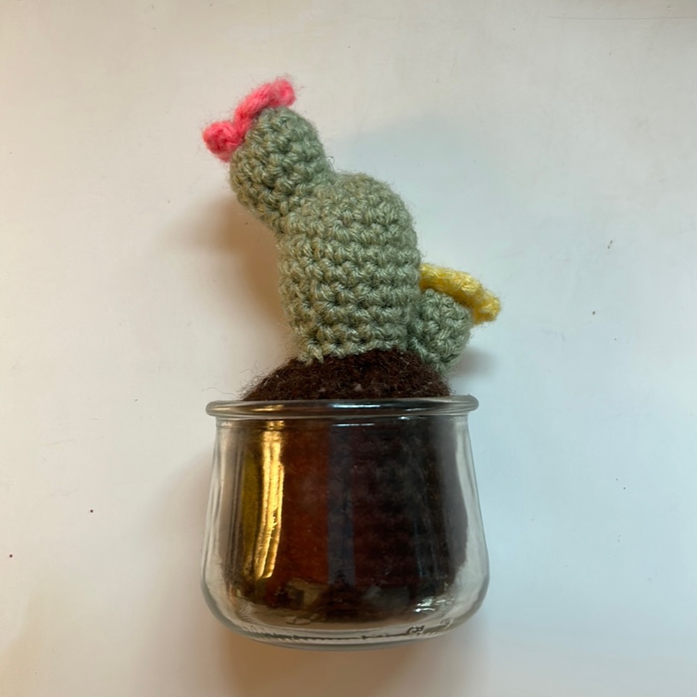 Handmade Mini Cactus